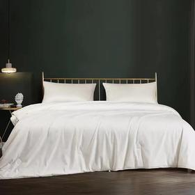 【恐龙厅】B座7F | 恐龙全棉提花桑蚕丝被