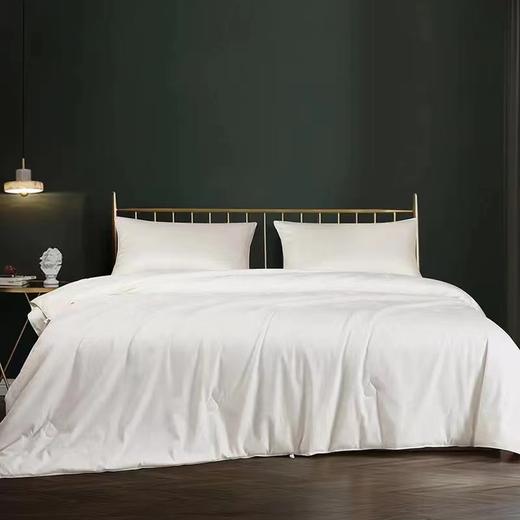 【恐龙厅】B座7F | 恐龙全棉提花桑蚕丝被 商品图0