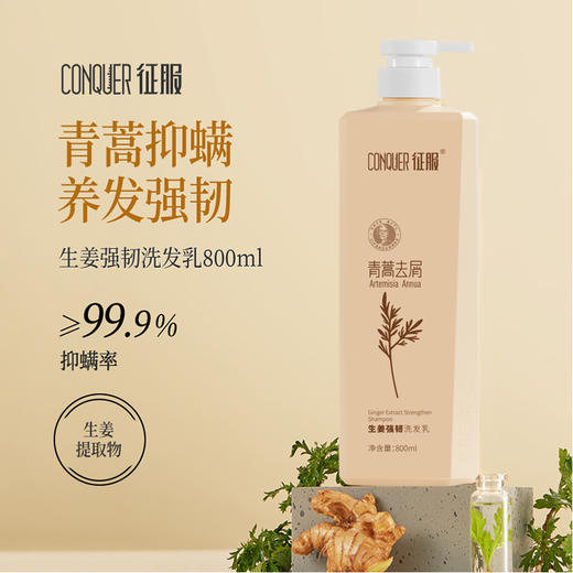 征服-暖暖  新升级2代青蒿洗发乳，滋养头皮，强韧发根润肤沐浴露，护发素改善脆弱发质、受损发丝 青蒿固发柔顺洗发系列 商品图8