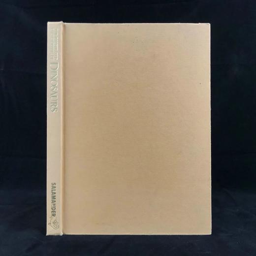 恐龙图解百科 数百幅彩色插图 精装大16开 商品图0