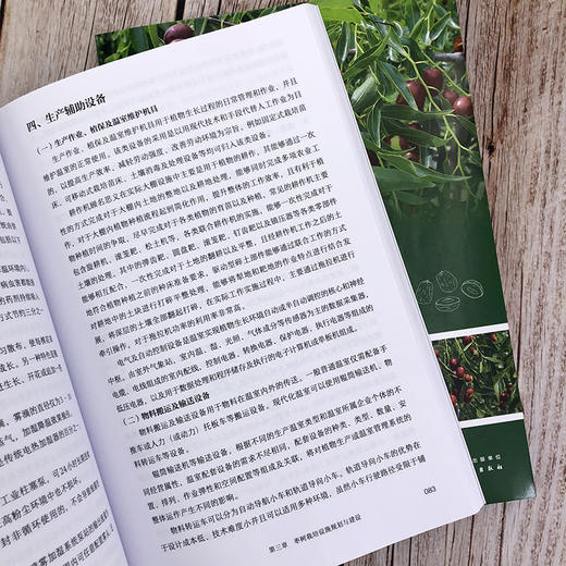 枣树设施丰产栽培技术 商品图4