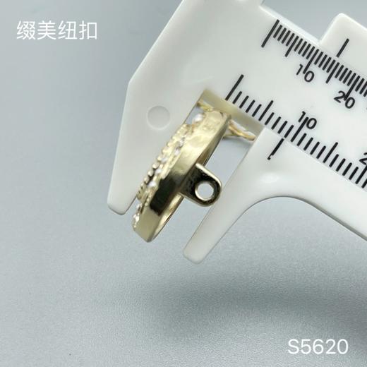 S5620(整包购买) 商品图4