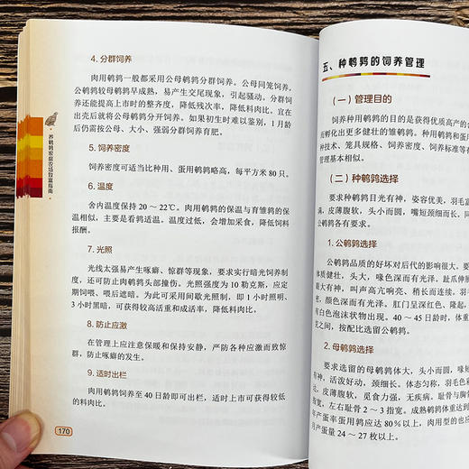 养鹌鹑家庭农场致富指南 商品图8