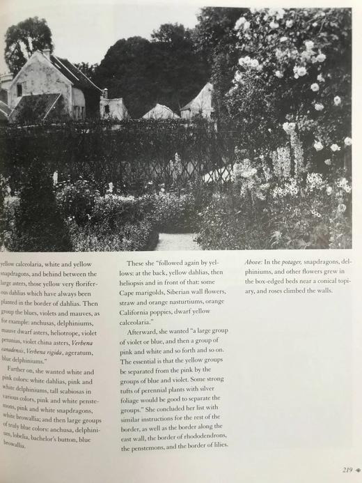 伊迪丝·沃顿：非凡的人生 约百幅插图 精装16开 商品图5