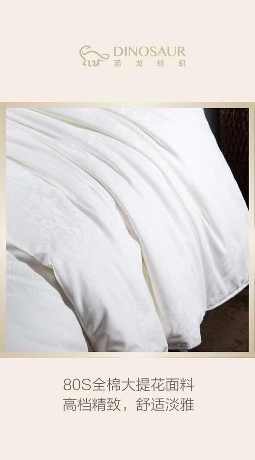 【恐龙厅】B座7F | 恐龙全棉提花桑蚕丝被 商品图3