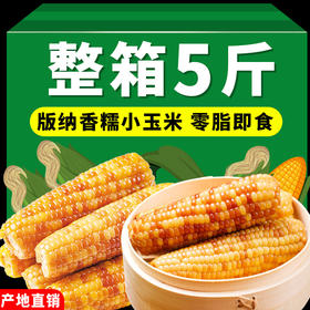 5斤云南西双版纳香糯小玉米真空包装花糯玉米学生上班代餐玉米棒