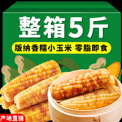 5斤云南西双版纳香糯小玉米真空包装花糯玉米学生上班代餐玉米棒 商品图0