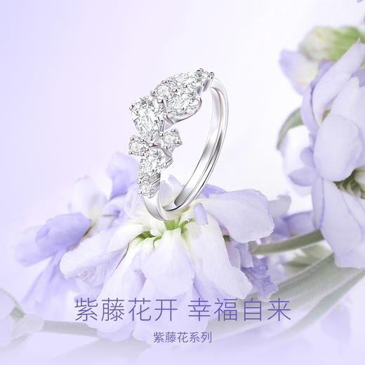 紫藤相惜【单戒】Fanci范琦 紫藤花系列 925银饰轻奢生日礼物 下单赠精美礼盒 顺丰空运+运费险 商品图2