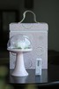 黛熹瓷花扩香器高款礼盒款 商品缩略图0