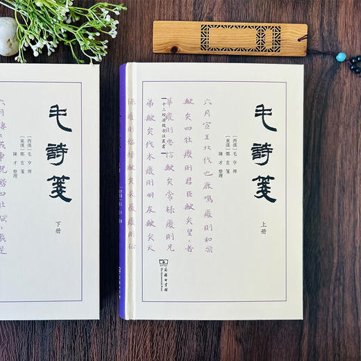 毛诗笺（全二册）（十三经汉魏古注丛书）(繁体横排)  〔西汉〕毛亨传，〔东汉〕郑玄笺，陈才整理 商务印书馆 商品图1