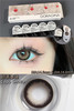 doragina 日抛 奶乖泰迪 直径14.5mm着色14.0mm 商品缩略图6