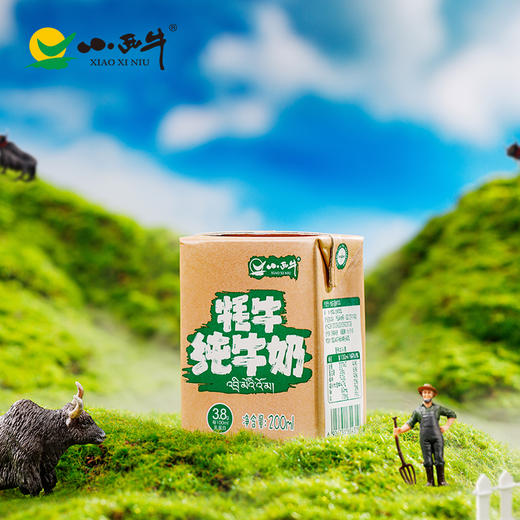 【光明&小西牛】牦牛高钙纯牛奶儿童学生孕妇营养早餐奶200ml*12盒整箱 商品图7