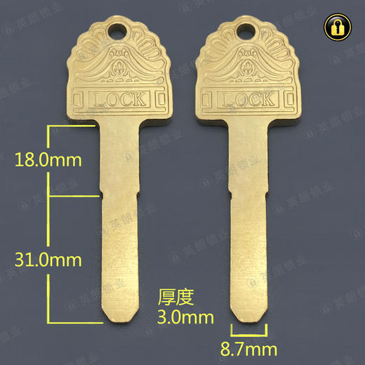 〖5199〗3.0厚LOCK平板 商品图0