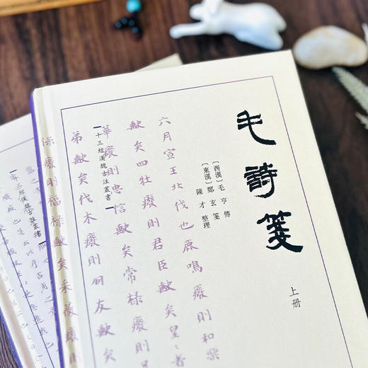 毛诗笺（全二册）（十三经汉魏古注丛书）(繁体横排)  〔西汉〕毛亨传，〔东汉〕郑玄笺，陈才整理 商务印书馆 商品图9