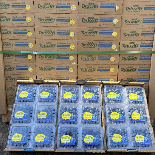 怡颗莓限量版18+蓝莓 商品图7