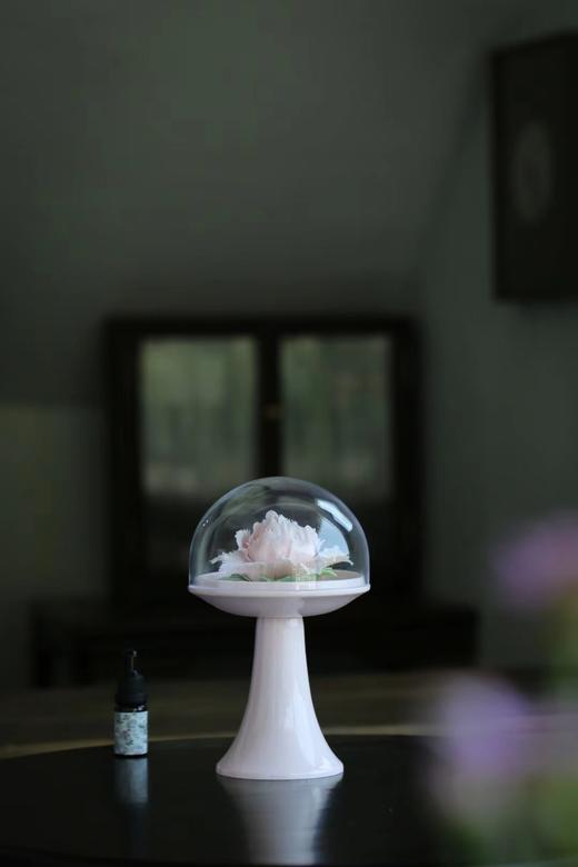 黛熹瓷花扩香器高款礼盒款 商品图2