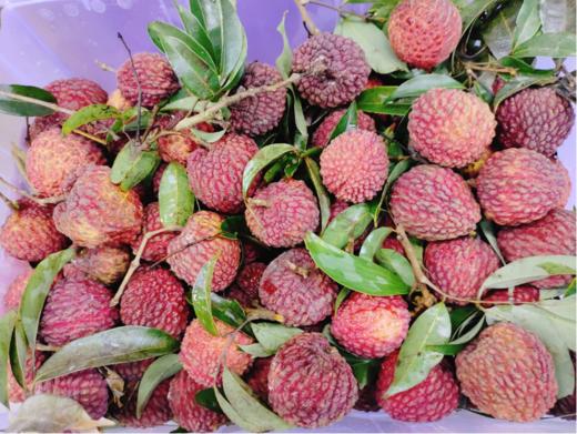 活动荔枝王3斤（拼团) 商品图0