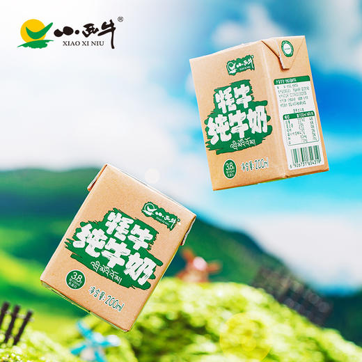 【光明&小西牛】牦牛高钙纯牛奶儿童学生孕妇营养早餐奶200ml*12盒整箱 商品图12