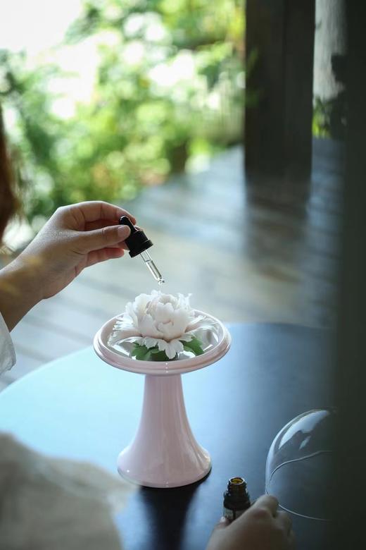 黛熹瓷花扩香器高款礼盒款 商品图3