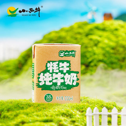 【光明&小西牛】牦牛高钙纯牛奶儿童学生孕妇营养早餐奶200ml*12盒整箱 商品图4