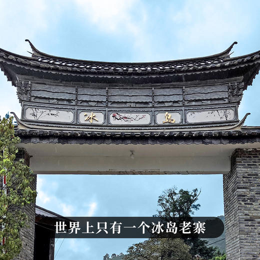 【冰岛老寨单株】900年古树单株象征着茶界的奢侈巨作礼盒装收藏送礼满足多场景应用357克/饼 商品图9