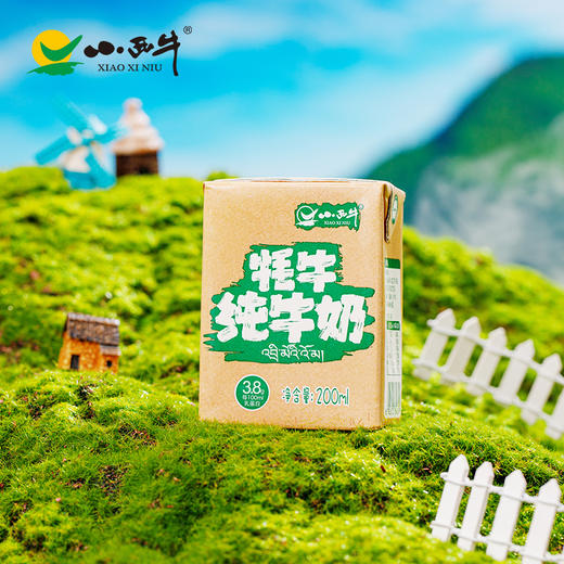 【光明&小西牛】牦牛高钙纯牛奶儿童学生孕妇营养早餐奶200ml*12盒整箱 商品图11