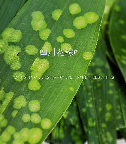 端午“粽”礼盒装 商品图8