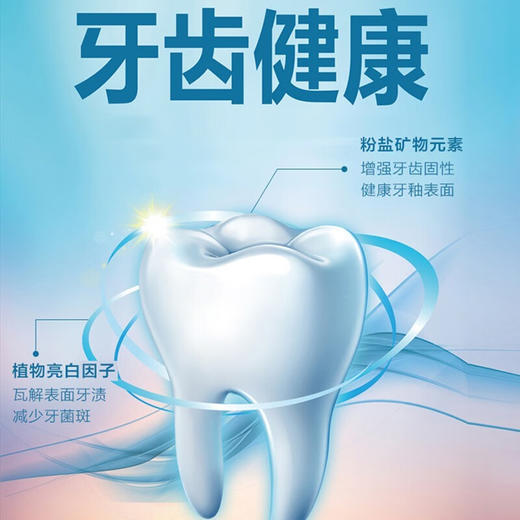 韩国爱敬2080菁纯盐薄荷香清新口气成人牙膏 125g*2支 商品图2