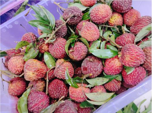 活动荔枝王3斤（拼团) 商品图1