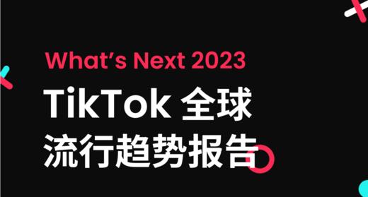 《2023年全球流行趋势分析》：这至关重要的三大趋势主题需关注！ 商品图0
