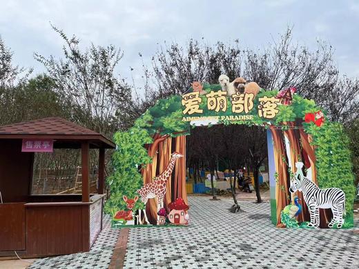 湖北宜昌枝江枫林月季园门票 商品图2