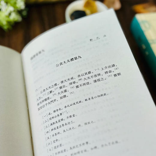 仪礼注（十三经汉魏古注丛书）(繁体横排)  (东汉)郑玄 注 阙海 整理 商务印书馆 商品图5