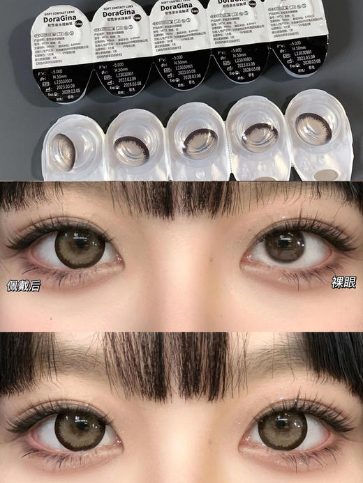 doragina 日抛 奶乖泰迪 直径14.5mm着色14.0mm 商品图5