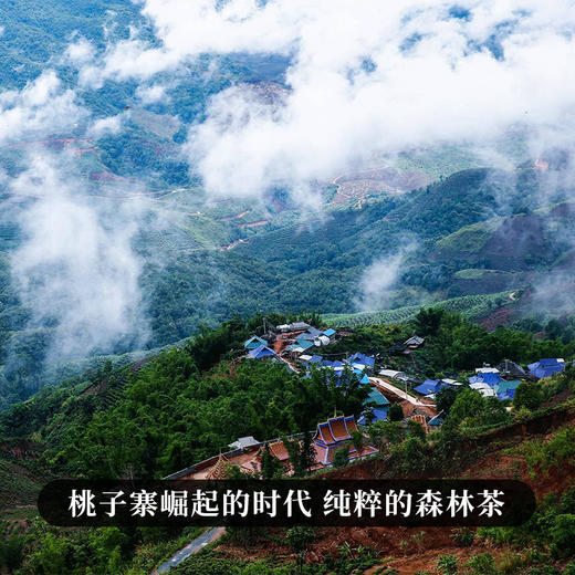 【大师手作—桃子寨】宣哥亲制产品本系列首次上新，宣哥出品必出精品来自七年宣哥珍藏的名山桃子寨 商品图9