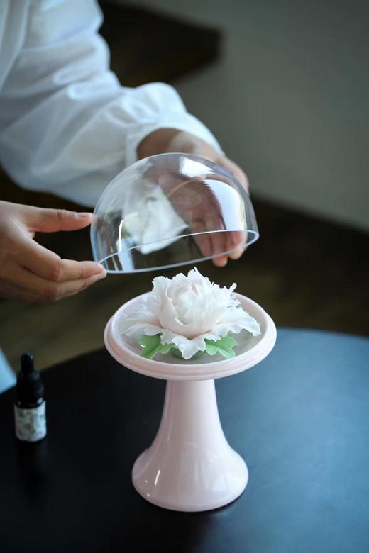 黛熹瓷花扩香器高款礼盒款 商品图1