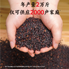 香畴自然农法紫糯米 浙江金华老种子 500g/袋 商品缩略图2