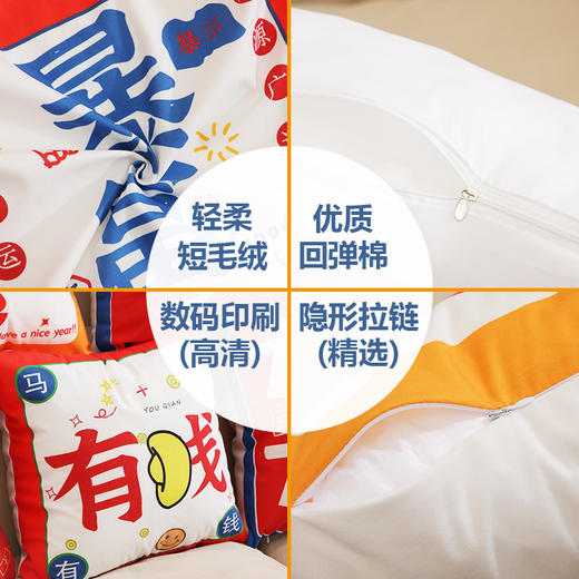 「数款可选！国潮来袭」新款毛绒国潮文字抱枕 家居装饰沙发抱枕发财暴富新年抱枕套居家布艺 商品图2