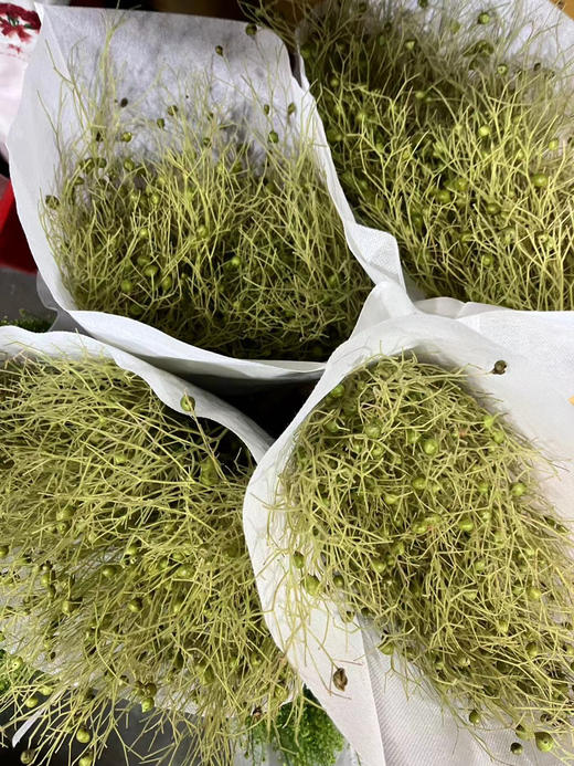 【醉春烟】柔丝  若干枝/扎 商品图7