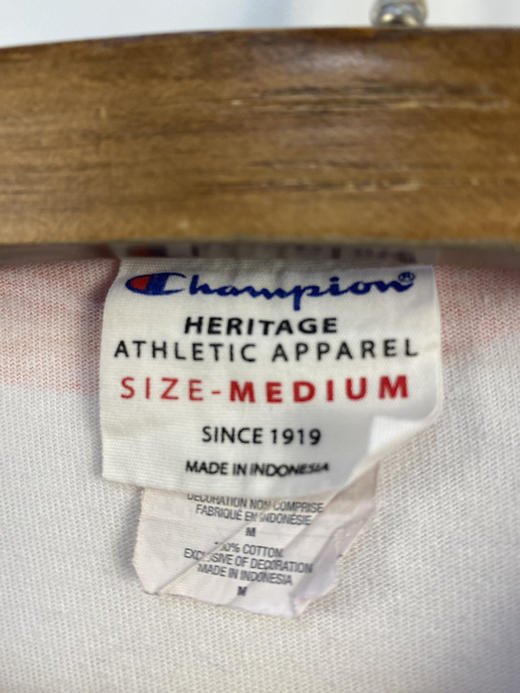 Champion 冠军 滿版印花 短袖T恤 _SST(M) 商品图2