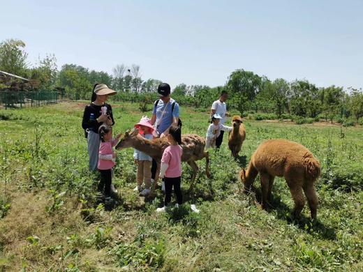 湖北宜昌枝江枫林月季园门票 商品图1