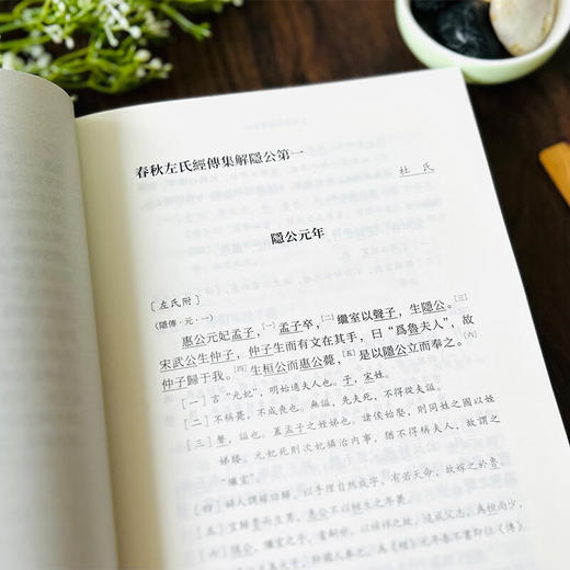 春秋左氏经传集解（合编本）（全三册） （十三经汉魏古注丛书）(繁体横排)  〔东周〕左丘明传;〔西晋〕杜预集解;但诚整理 商务印书馆 商品图8