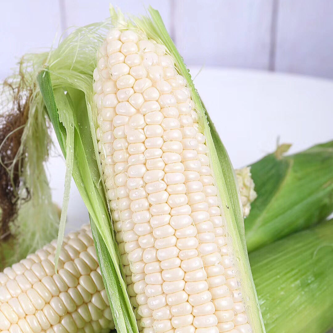 爆浆冰糖牛奶水果玉米|山人优