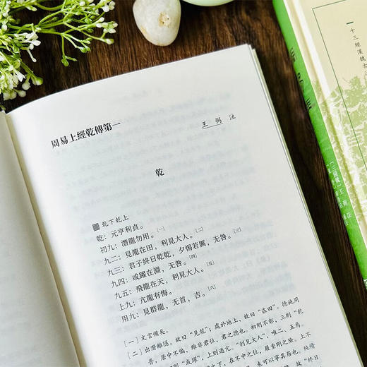 周易注（十三经汉魏古注丛书）(繁体横排)  〔三国魏〕王弼注，〔东晋〕韩康伯补注，谷继明整理 商务印书馆 商品图6