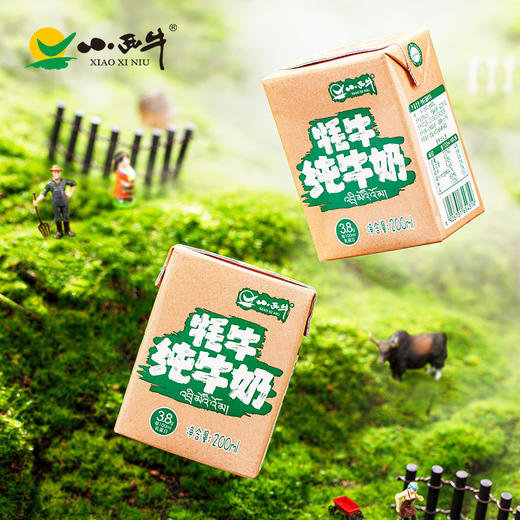 【光明&小西牛】牦牛高钙纯牛奶儿童学生孕妇营养早餐奶200ml*12盒整箱 商品图8