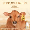 【推荐|日期新鲜】冷藏娟姗牛乳低温奶200ml*10瓶/12瓶/15瓶   顺丰冷链 新鲜直达 商品缩略图7