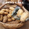 山阳县 爱心助农 高山土豆 3斤/5斤 商品缩略图1