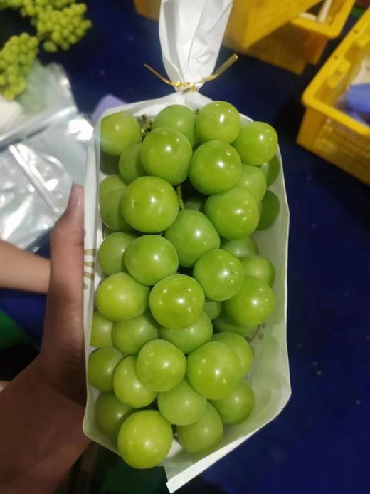 阳光玫瑰二级果（实惠装6g） 商品图1