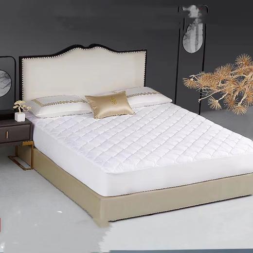 【春上新】10楼罗卡芙    惠谊  四季床护垫防滑床笠款可折叠床护垫 吊牌价920-980 活动价660-688元 商品图0