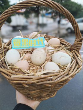 竹筐鸡蛋一筐（拼团）