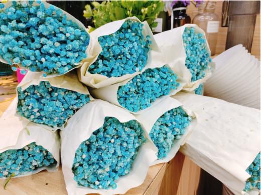 蓝色满天星（拼团） 商品图1